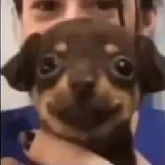 Imagem do grupo de WhatsApp Os noia🤪 - categoria Amizade