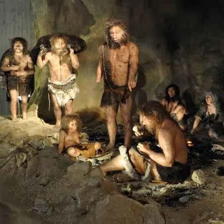 Imagem do grupo de WhatsApp Neandertals 🐵 - categoria Amizade