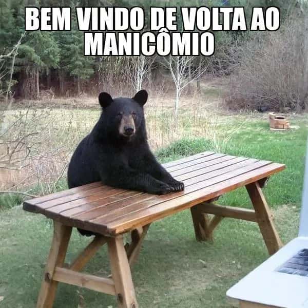 Imagem do grupo de WhatsApp 🏥𝕄𝕒𝕟𝕚𝕔ô𝕞𝕚𝕠☣ - categoria Amizade