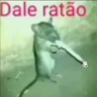 Imagem do grupo de WhatsApp Máfia de Figurinhas