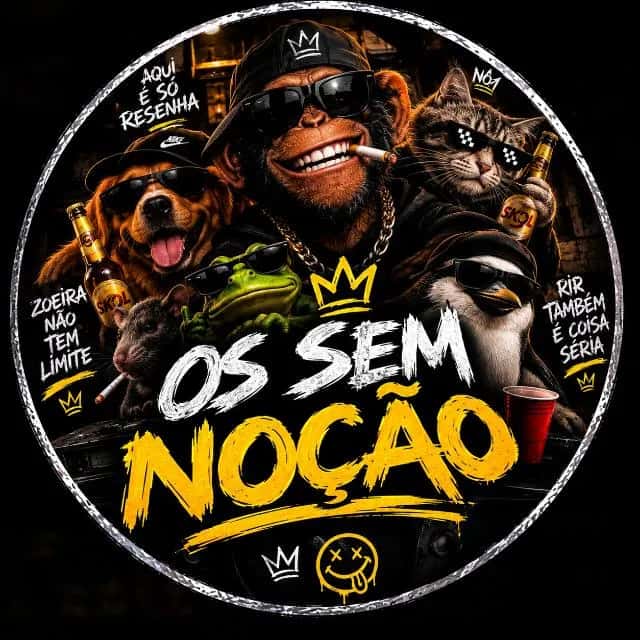 Imagem do grupo de WhatsApp Os sem Noção 🤣 - categoria Amizade