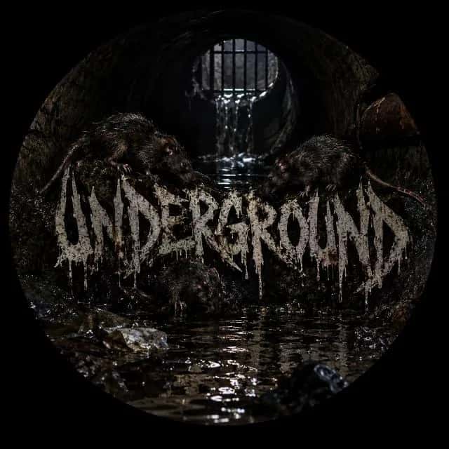 Imagem do grupo de WhatsApp Brasil underground - categoria Amizade
