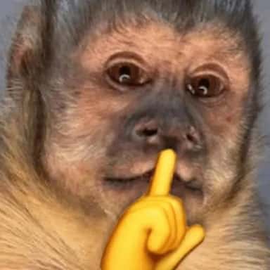 Imagem do grupo de WhatsApp Chat e Figurinhas 🇧🇷