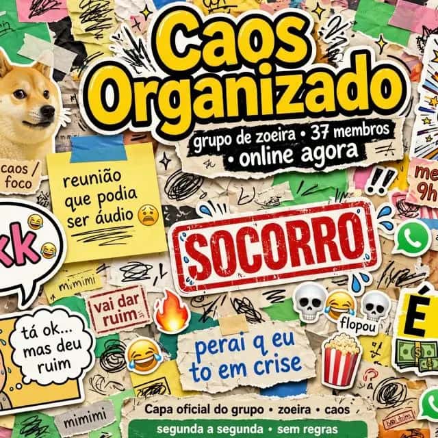 Imagem do grupo de WhatsApp Caos Organizado 😎 - categoria Amizade