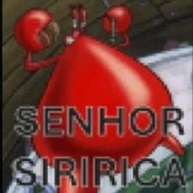 Imagem do grupo de WhatsApp Siriricascudo - categoria Amizade