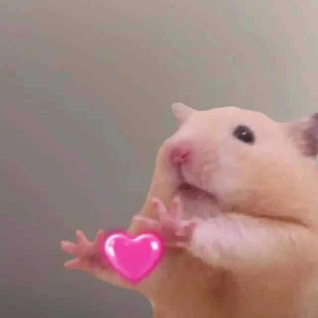 Imagem do grupo de WhatsApp Figurinhas De Pets 🐀🐈🐇🐕🐍🐖🐔🐎🐝🐢🐟 - categoria Figurinhas e Stickers