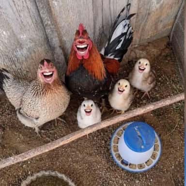 Imagem do grupo de WhatsApp E vcs nada?
