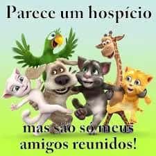 Imagem do grupo de WhatsApp ( Amigos para sempre juntos )🫡 - categoria Amizade