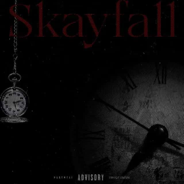 Imagem do grupo de WhatsApp Skayfall chat🇺🇸 - categoria Amizade