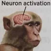 Imagem do grupo de WhatsApp Desordem e Regresso - categoria Memes e Zoeira