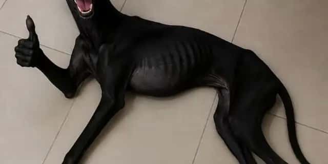 Imagem do grupo de WhatsApp Segredos - categoria Amizade