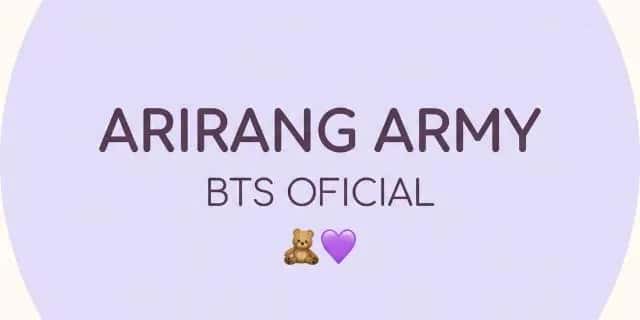 Imagem do grupo de WhatsApp 𝗔𝗥𝗜𝗥𝗔𝗡𝗚 𝗔𝗥𝗠𝗬 𝗕𝗧𝗦 𝗢𝗙𝗖𝗜𝗔𝗟 🧸💜 - categoria Fãs