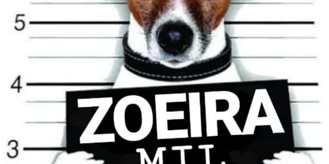 Imagem do grupo de WhatsApp Zueira😁 - categoria Amizade