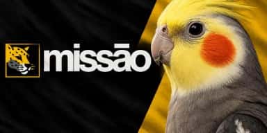 Imagem do grupo de WhatsApp UNC – União das Nações Calopsita | Missão
