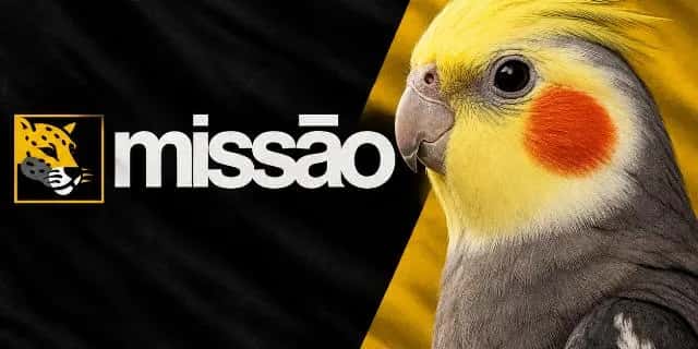 Imagem do grupo de WhatsApp UNC – União das Nações Calopsita | Missão - categoria Amizade