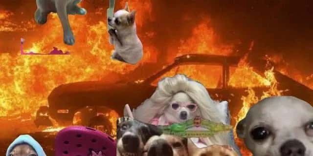 Imagem do grupo de WhatsApp ꧁ℂ𝕒𝕠𝕤 𝕠𝕣𝕘𝕒𝕟𝕚𝕫𝕒𝕕𝕠꧂ - categoria Amizade