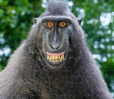 Imagem do grupo de WhatsApp TENNACIOZ - categoria Amizade