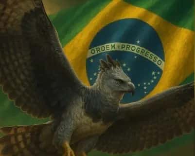 Imagem do grupo de WhatsApp MELHORES DO BRASIL 🇧🇷 🎊 - categoria Amizade