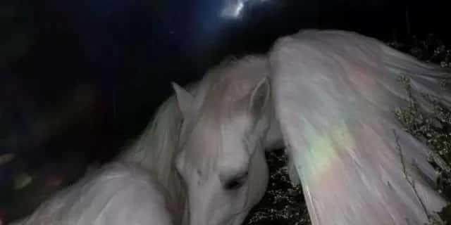 Imagem do grupo de WhatsApp Namoro Girls Unicorn - categoria Namoro