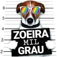 Imagem do grupo de WhatsApp 🫪 Amizade SP 🫪 - categoria Amizade