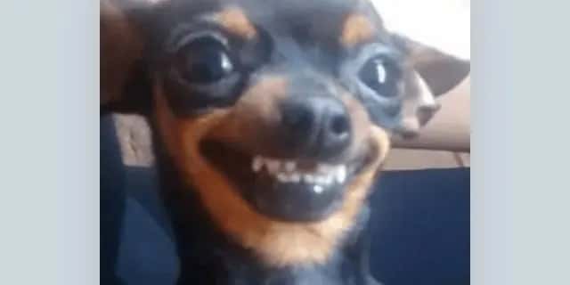 Imagem do grupo de WhatsApp Resenhas😝 - categoria Amizade