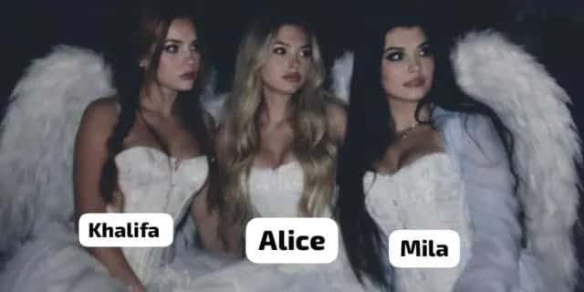 Imagem do grupo de WhatsApp ╰┈➤ 𝑫𝒆𝒗𝒊𝒍 𝑫𝒐𝒍𝒍𝒔 ★ - categoria Amizade