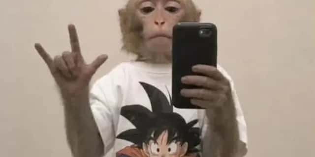 Imagem do grupo de WhatsApp Figurinhas surdo e Libras - categoria Amizade