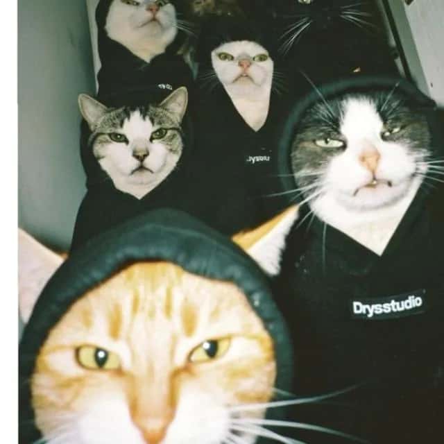 Imagem do grupo de WhatsApp ꧁Nada pra fazer 0.1꧂ - categoria Amizade