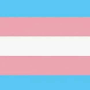 Imagem do grupo de WhatsApp amizades trans