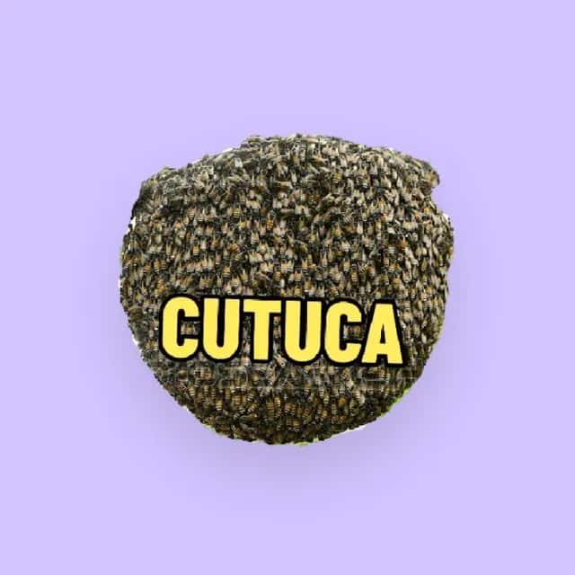 Imagem do grupo de WhatsApp Os mais maís - categoria Amizade