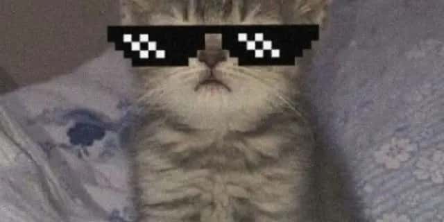 Imagem do grupo de WhatsApp Resenhas - categoria Amizade