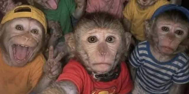 Imagem do grupo de WhatsApp RK - BH É REGIÃO - categoria Amizade