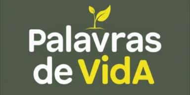 Imagem do grupo de WhatsApp Palavras de Vida- Versículos Diários